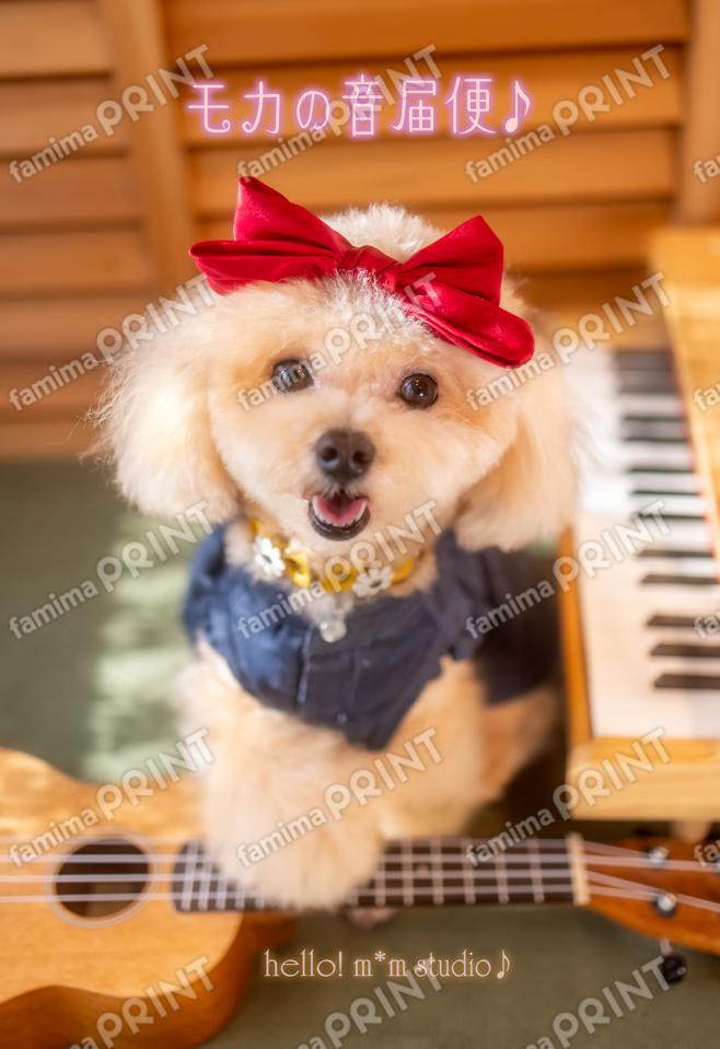 ハロー！モカの音届便♪A-7