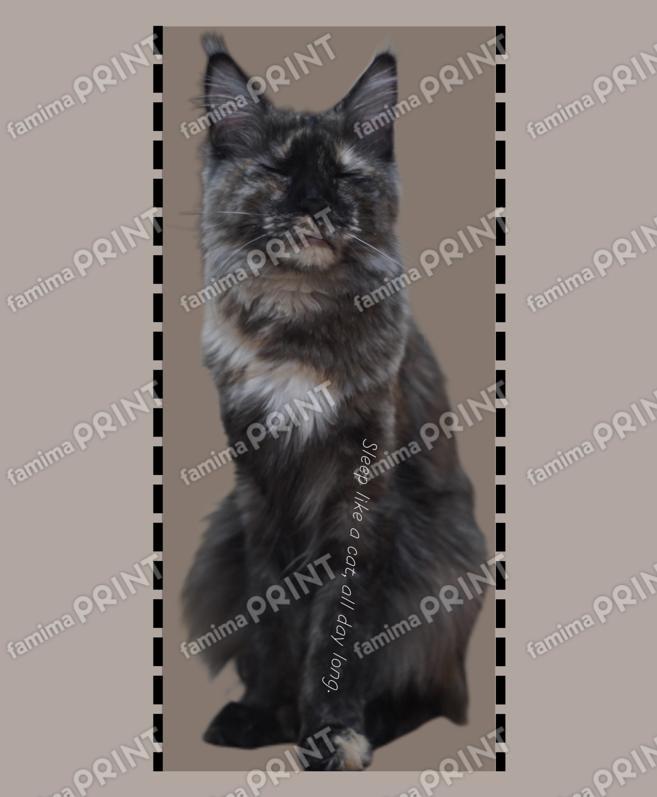 銀猫三獣士限定ブロマイド_09