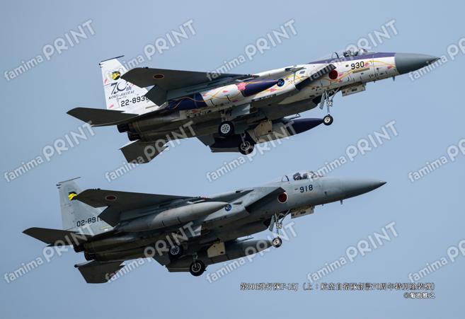 第306飛行隊F-15J（上：航空自衛隊創設70周年特別塗装機）