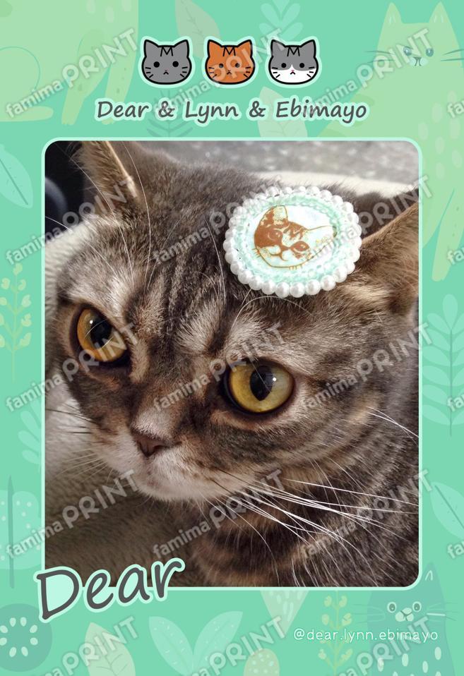 Dear&Lynn&Ebimayo_ディア02