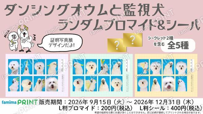 ダンシングオウムと監視犬　ランダムブロマイド＆シール