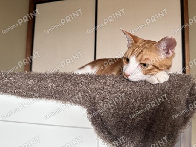 mugi⑥