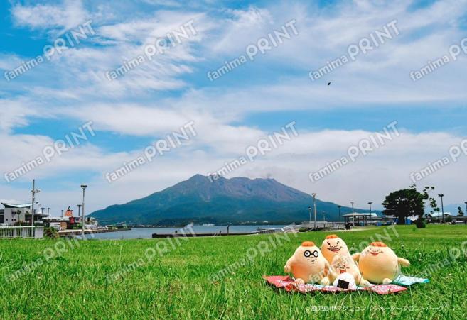 マグニョンブロマイド （ピクニック）