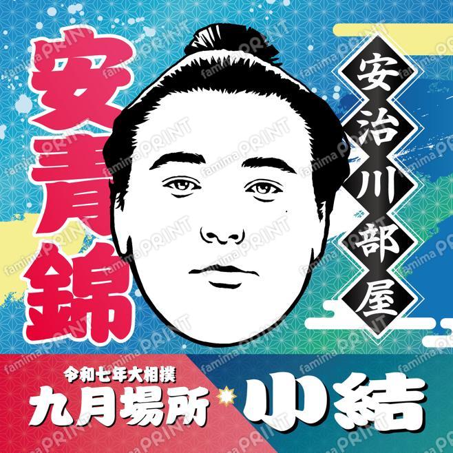 小結　安青錦_SQ