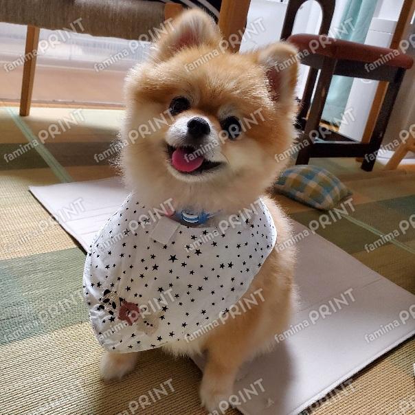 ぽんかん赤ちゃん