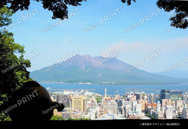 マグニョンブロマイド （城山展望台から見た桜島と市街地）