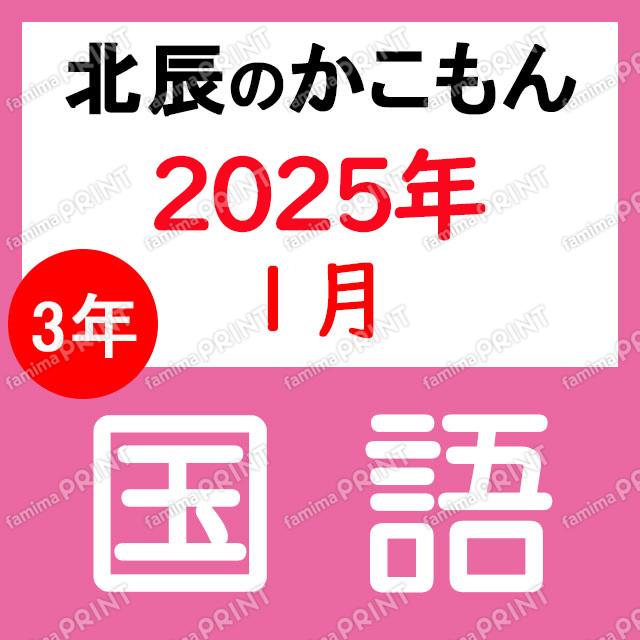 2024年度北辰テスト３年８回国語