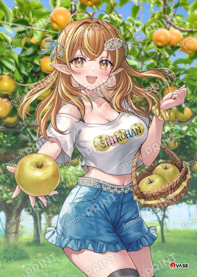 NATSUGURUME 17
