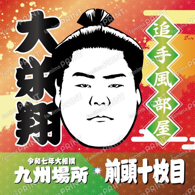 前頭十枚目　大栄翔_SQ