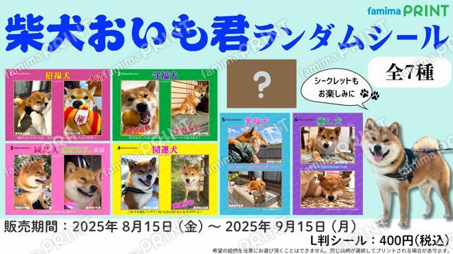 柴犬おいも君　ランダムシール
