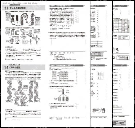 生物基礎_第１章_生物と遺伝子３