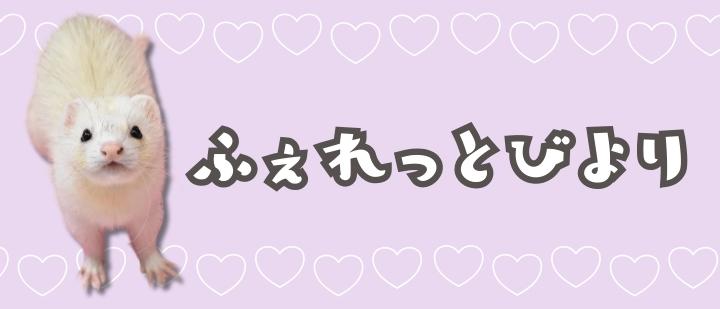 ふぇれっとびより