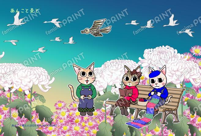 あんこと麦と季節のハガキ菊日和