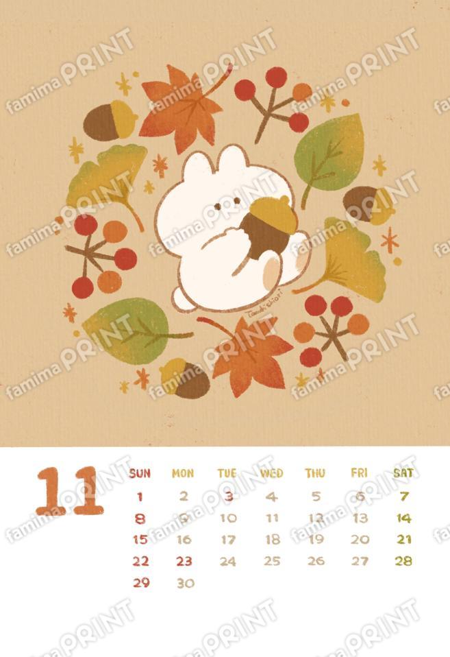 タヌキシオリカレンダー11月