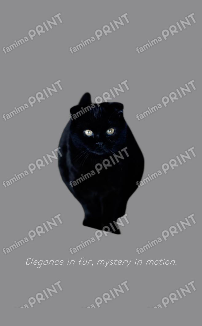 銀猫三獣士限定ブロマイド_07
