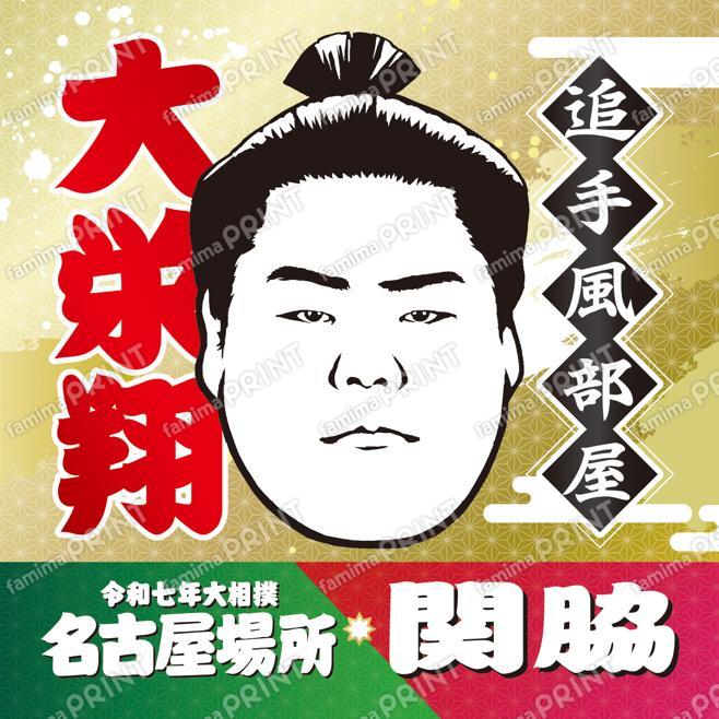 関脇　大栄翔_スクエア