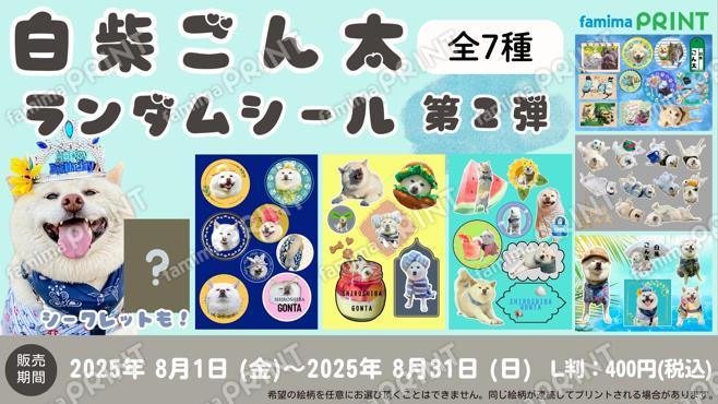 白柴ごん太ランダムシール　第2弾