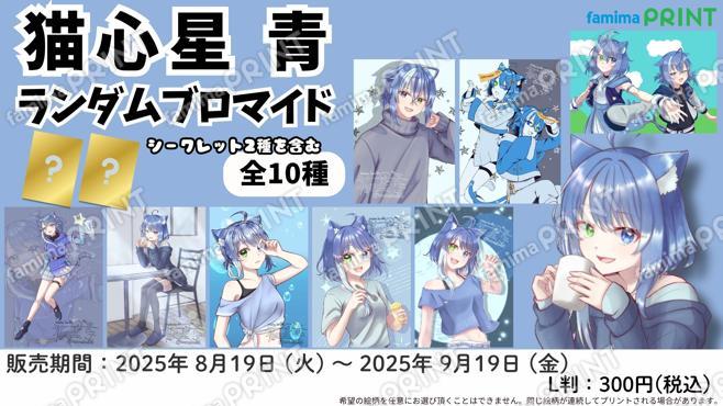 猫心星 青　ランダムブロマイド