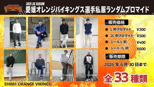 愛媛オレンジバイキングス