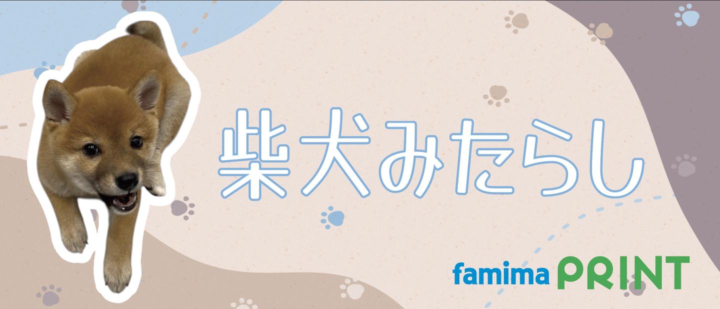 柴犬みたらし