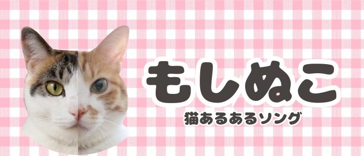 もしぬこ