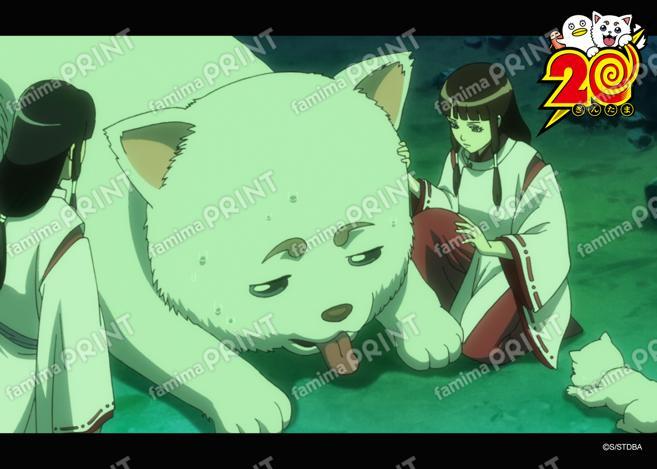 アニメ銀魂全367話振り返り(58)42