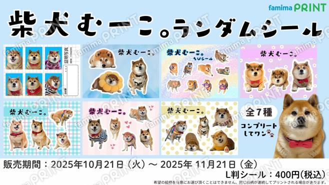 むーこ。ランダムシール