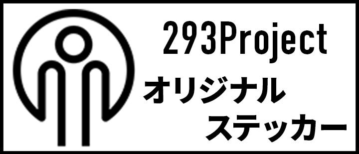 293Project
