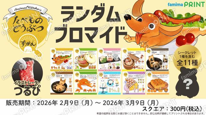 つるぴ　ランダムブロマイド