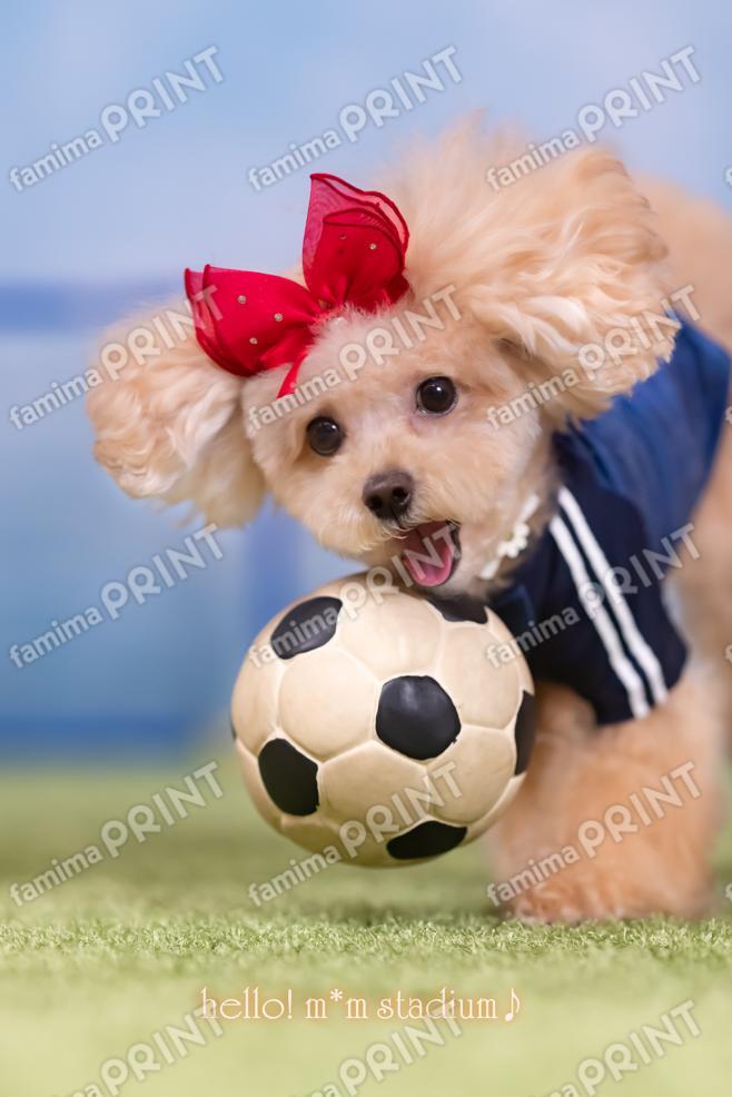 Hello! Moka's Soccer Mail♪ Trap