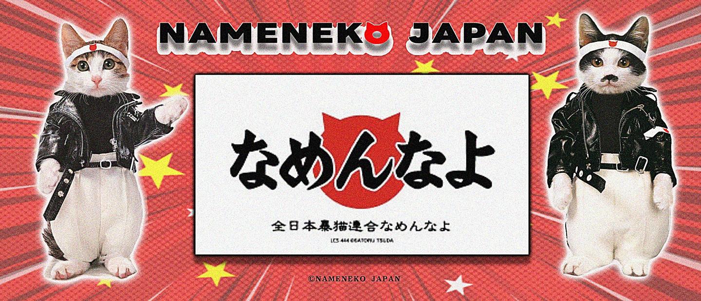 なめ猫