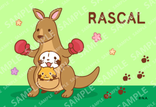 ラスカル動物ブロマイド・カンガルー