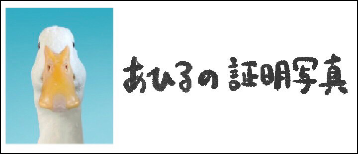 あひるの証明写真(アオトウ)