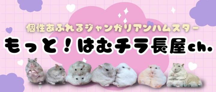 もっと！はむチラ長屋ch.