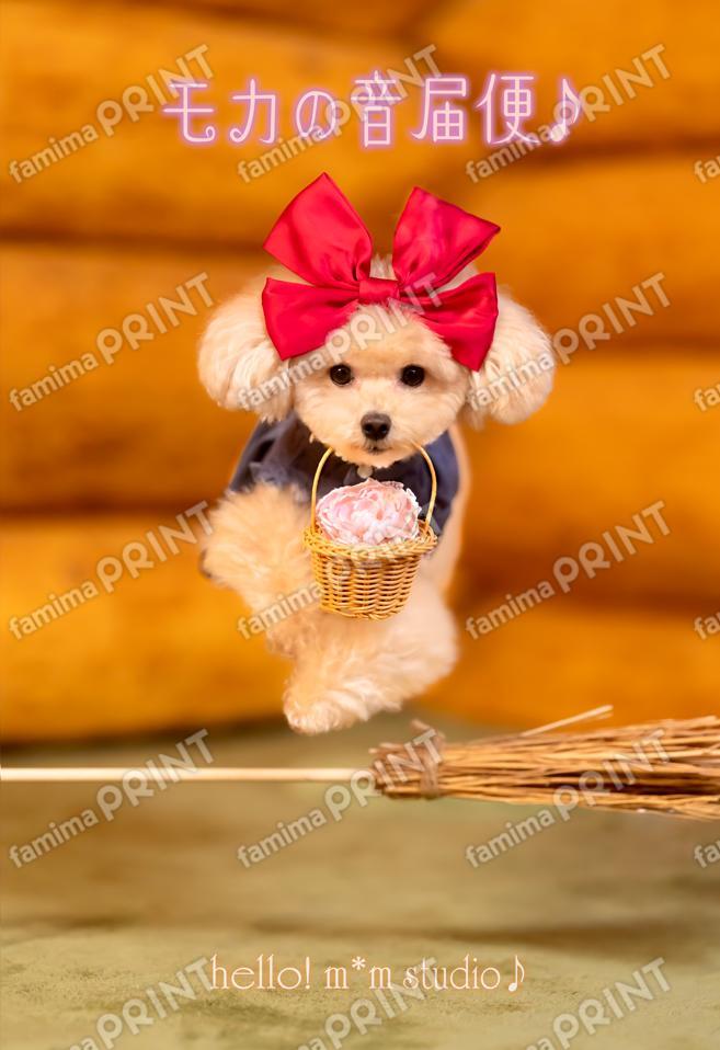 ハロー！モカの音届便♪A-10