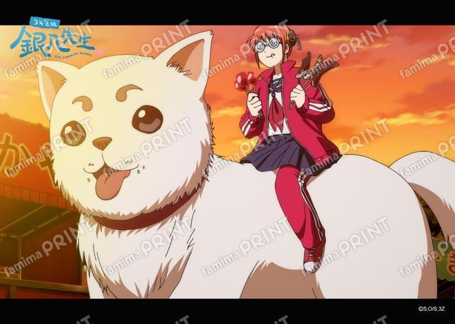 アニメ3年Z組銀八先生全12話振り返り(5)20