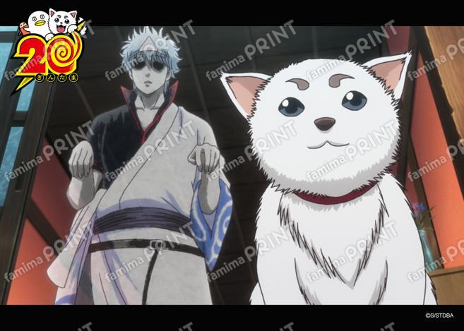 アニメ銀魂全367話振り返り(54)38