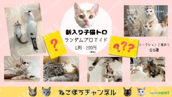 新入り子猫トロ ランダムブロマイド