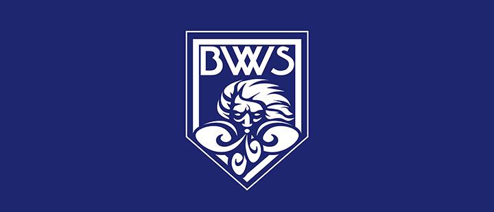 福井ブローウィンズ 選手ブロマイド