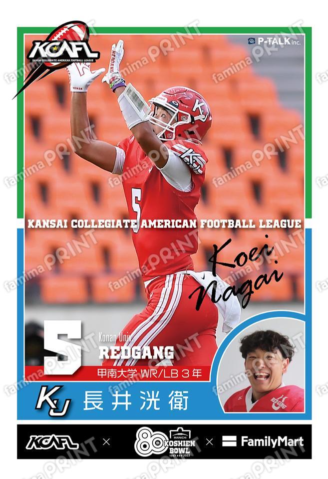 甲南大学 長井洸衛