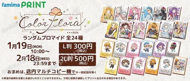 ColorFlora　ランダムブロマイド