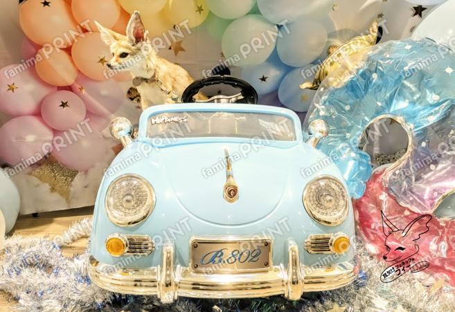 耳欠けフェネックのフィー２：ドライブ