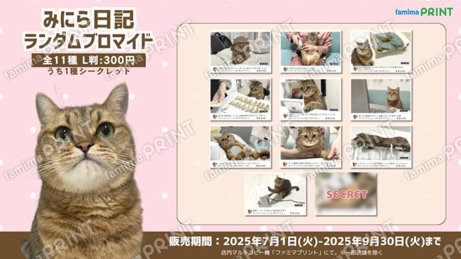 みにら日記ランダムブロマイド_L判