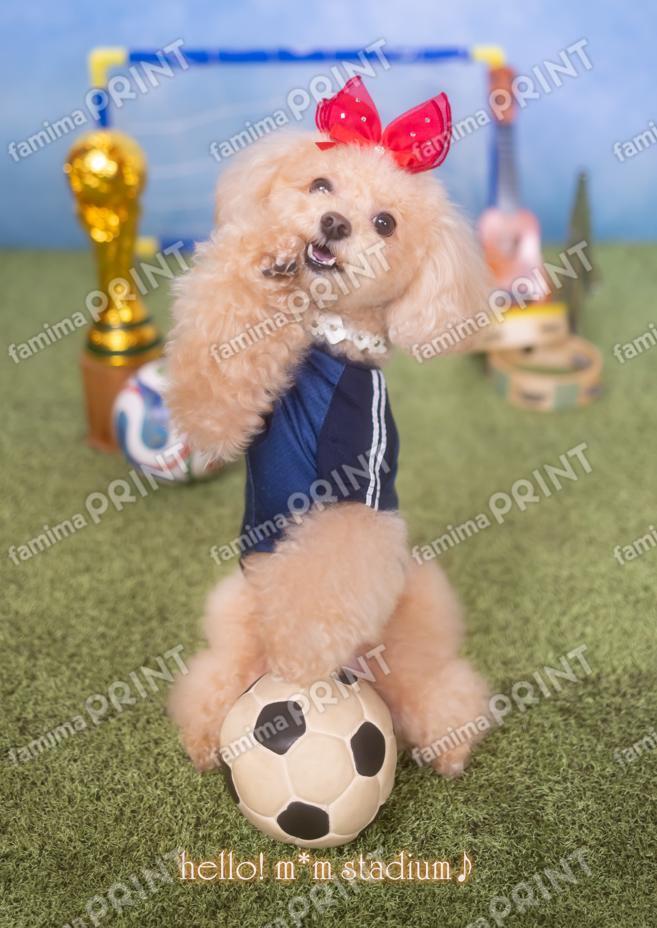 Hello! Mocha's Soccer Mail♪ Goal!