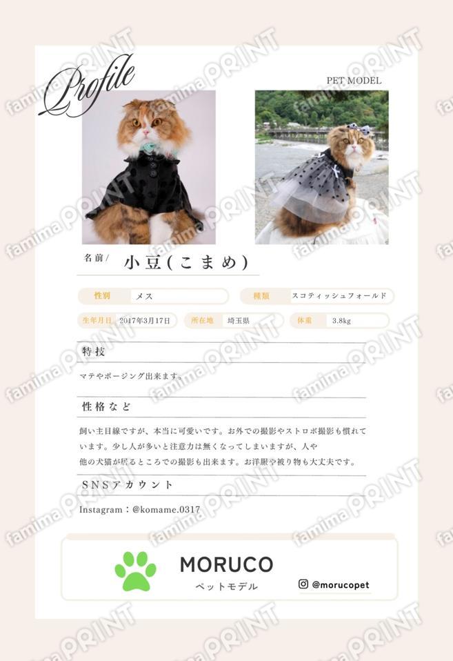 こまめ＿プロフィールシート