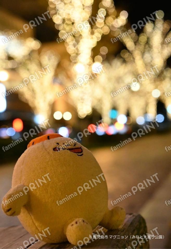マグニョンブロマイド （みなと大通り公園ライトアップ２）