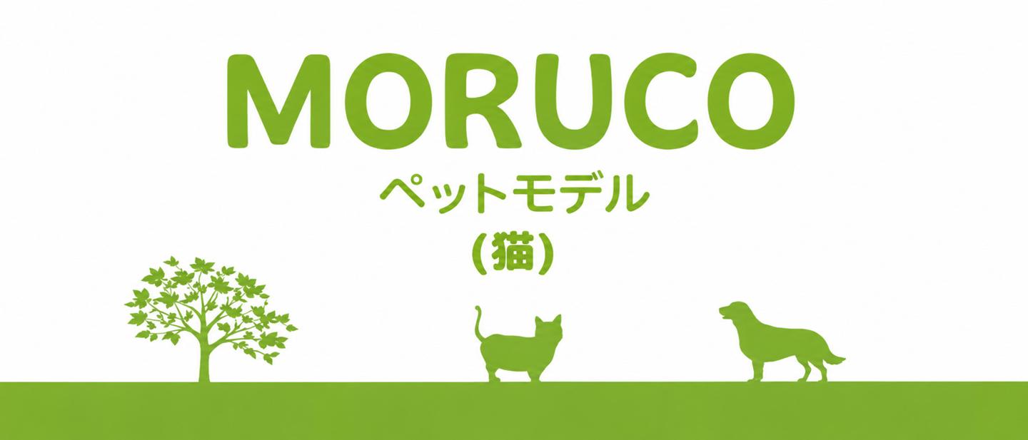 【MORUCO】猫