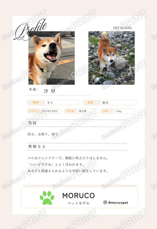 コロ＿プロフィールシート