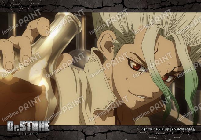 TVアニメ『Dr.STONE』