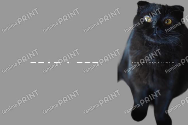 銀猫三獣士限定ブロマイド_01